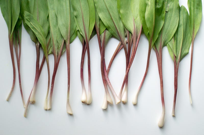 Pan Roasted Ramp Dip by Reba Toloday reba cooks