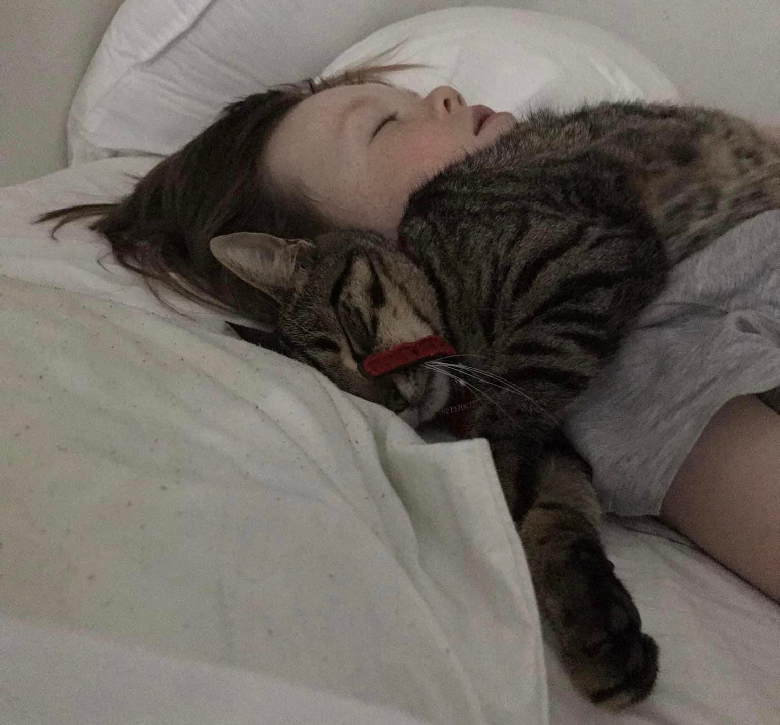 I love my cat more cheap than anything