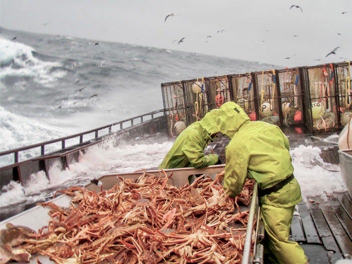 Bering Sea 87.5 of snow crabs gone