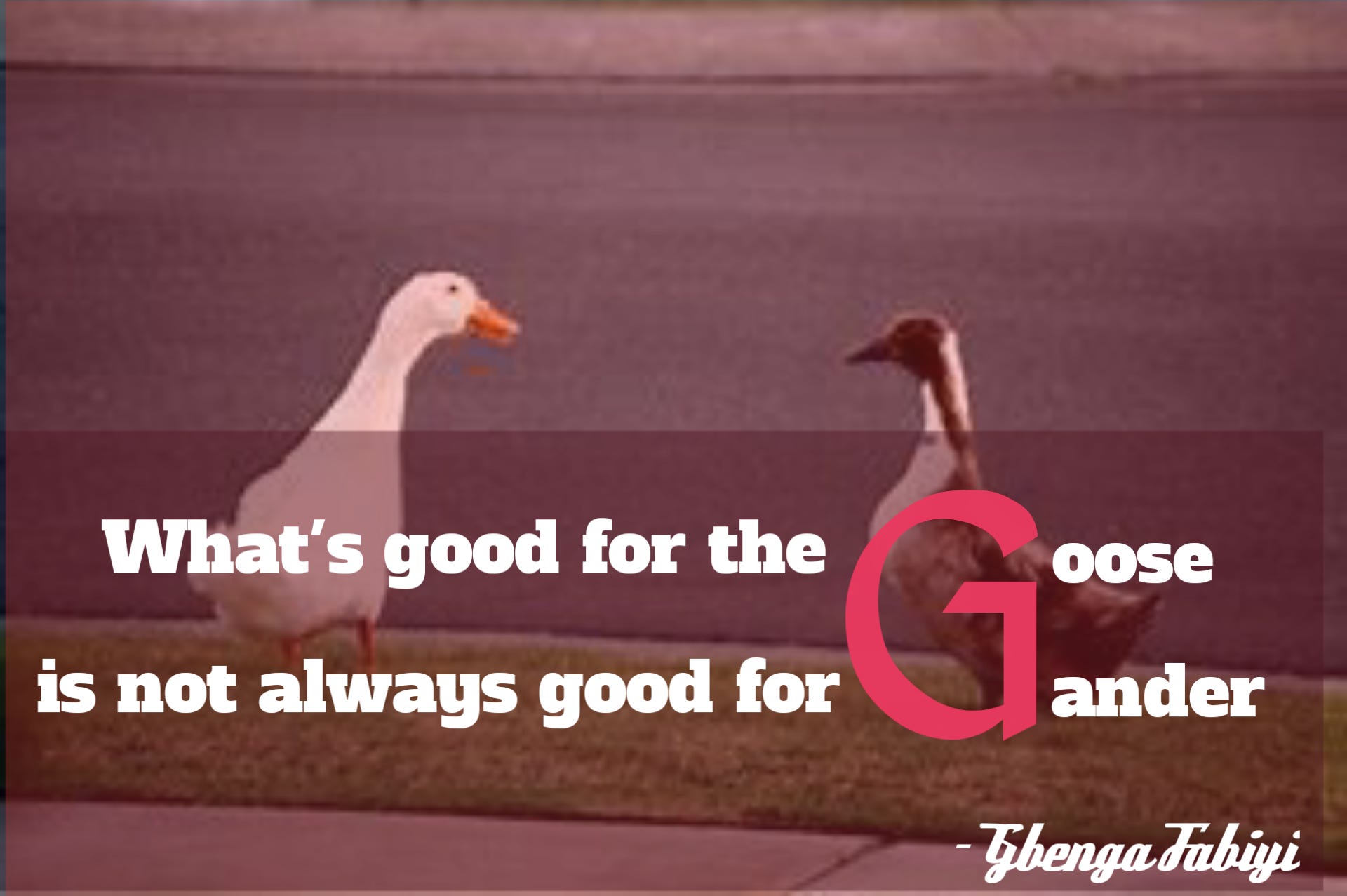 What is good for Goose is not Always Good for Gander.