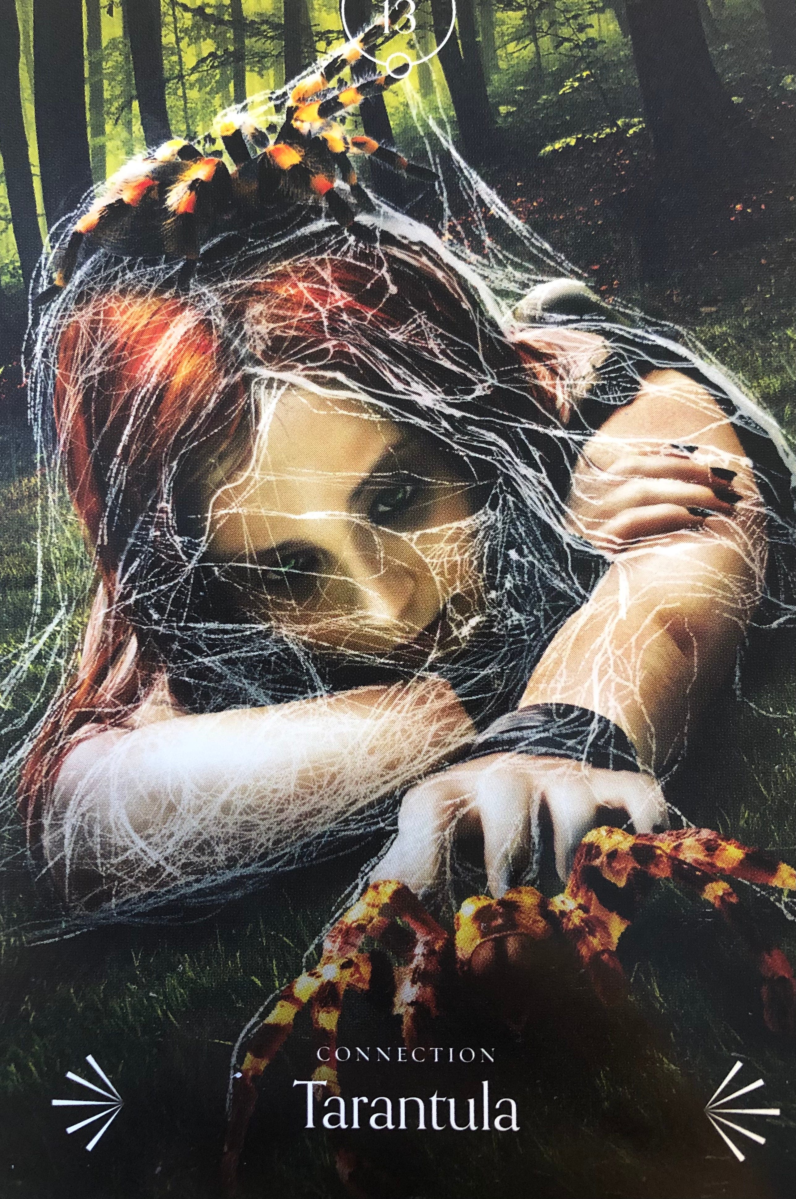 Mothers & Spiders Metaphors of Art by Maja Milanovic