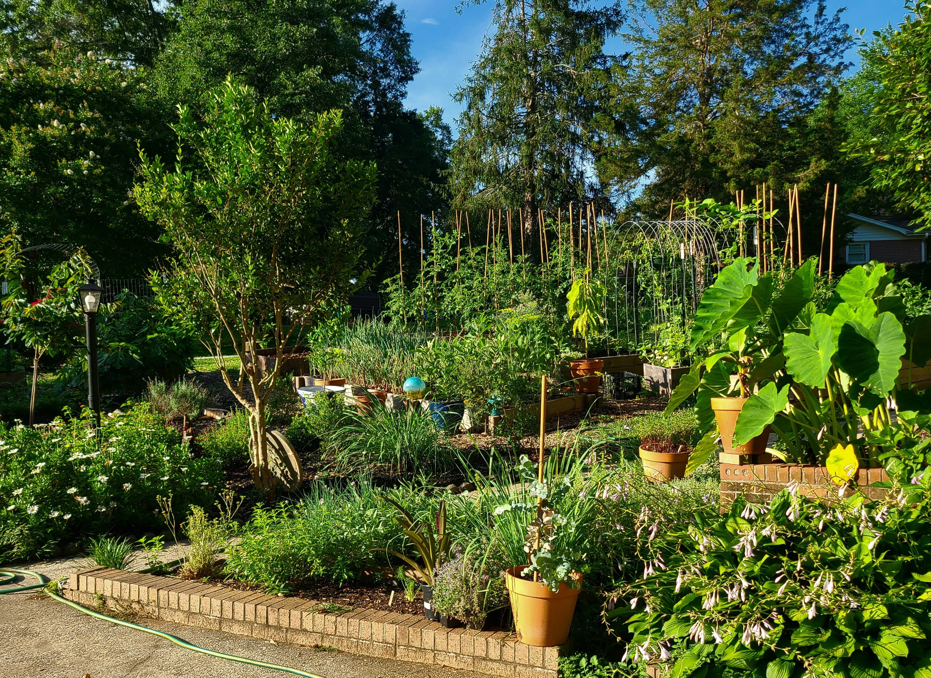 Front yard vegetable 2025 garden