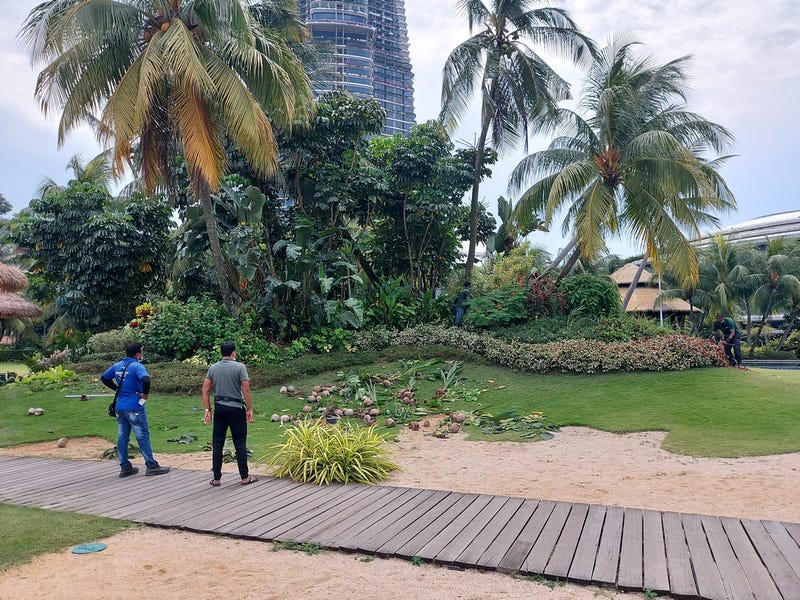 Forest City Futuristic city or farcical folly?