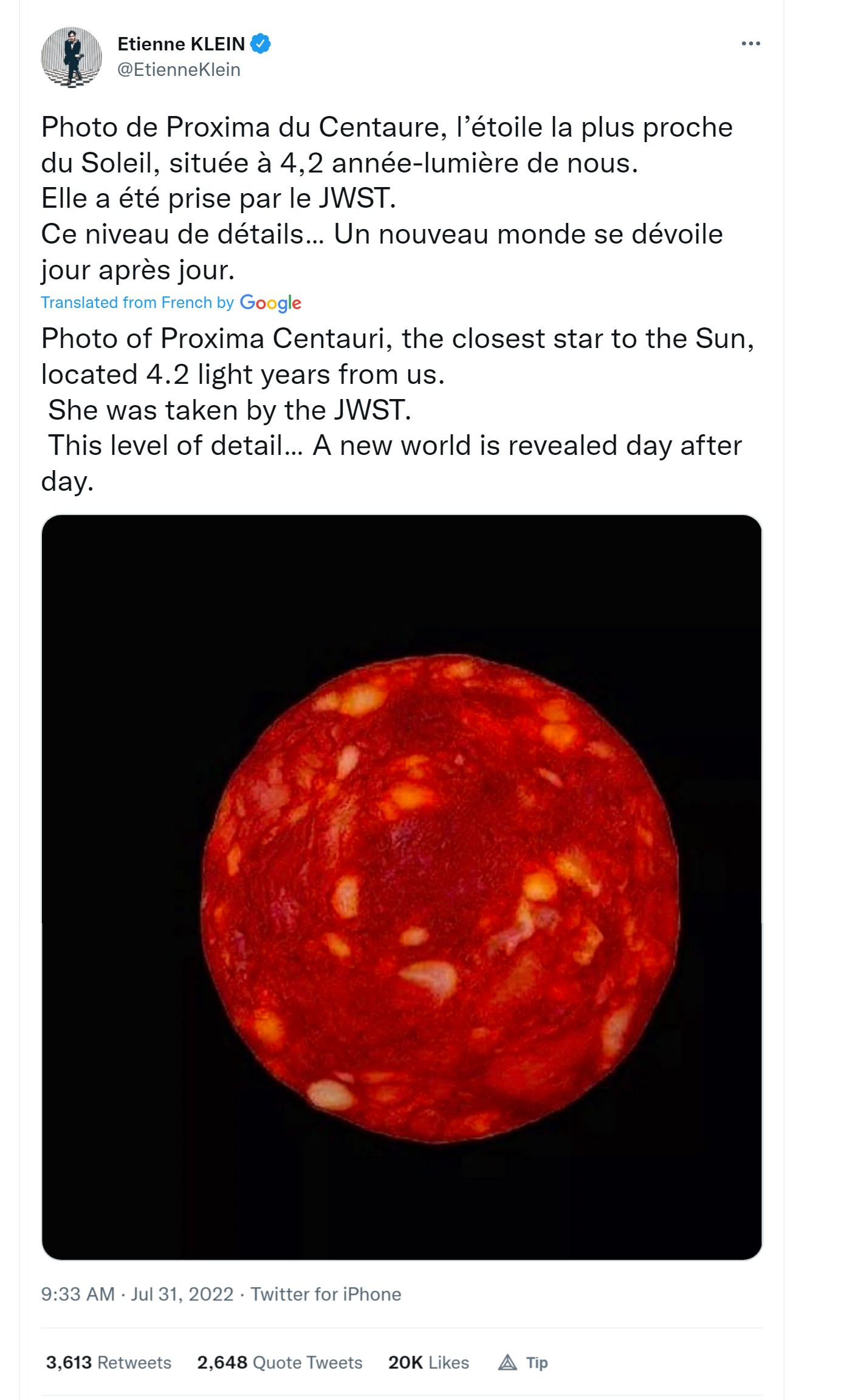 kitten corner proxima salami by gatito bueno