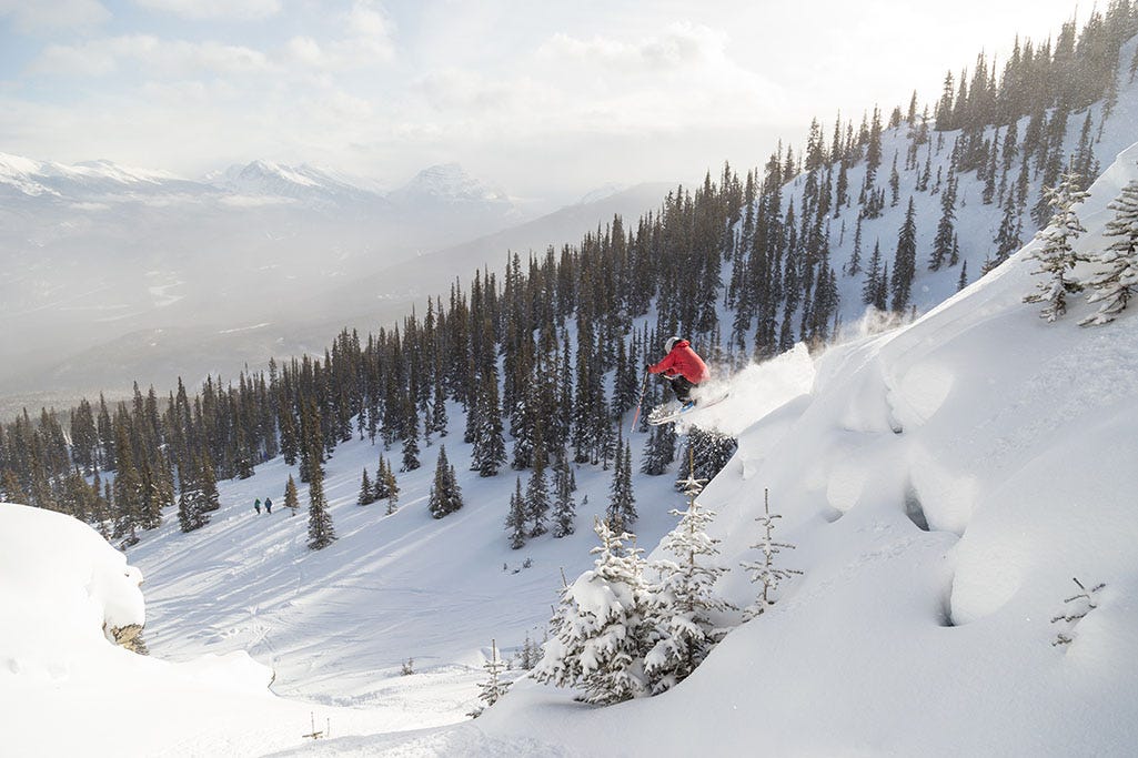 Marmot titus sale