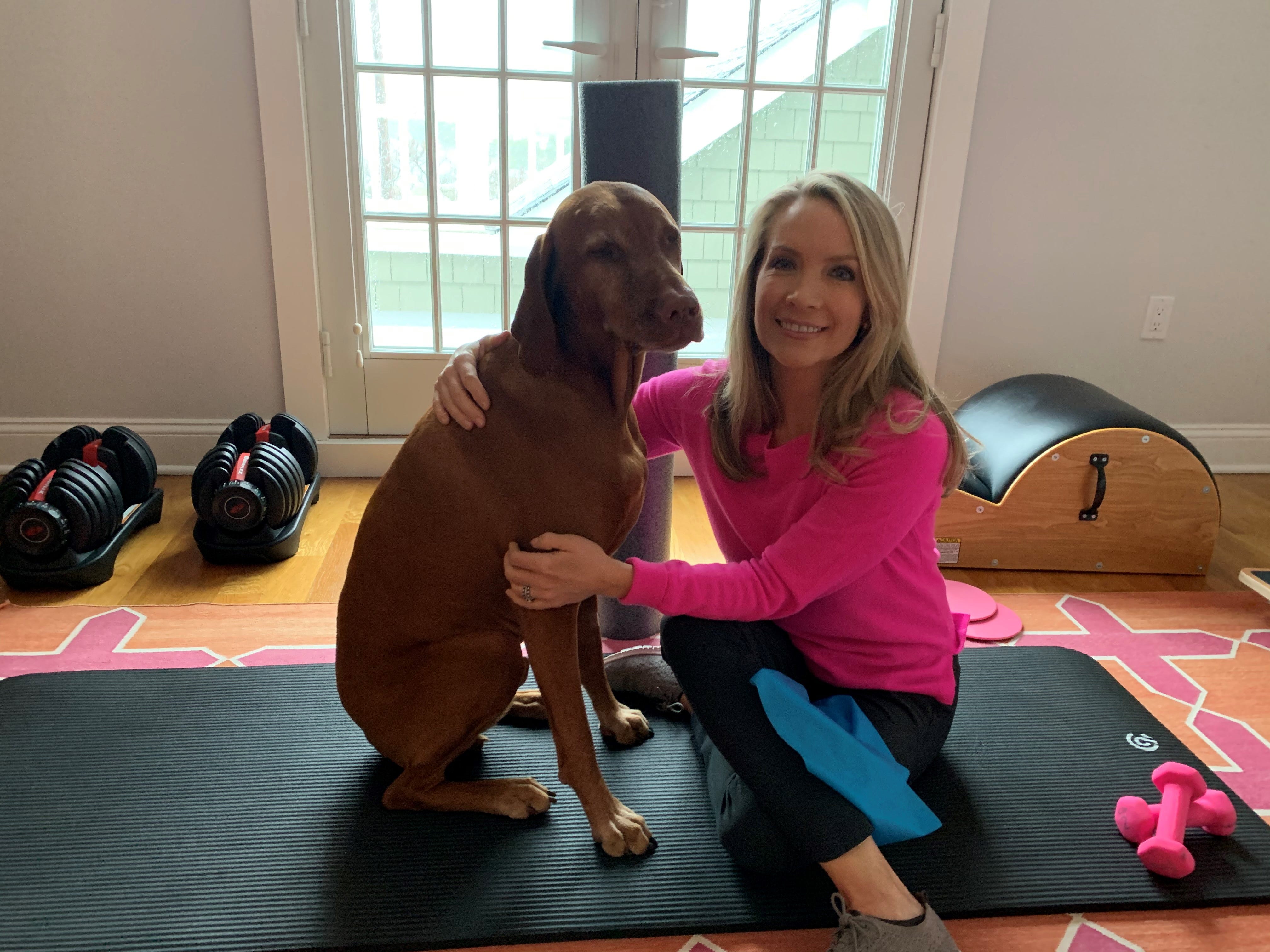 Dana perino deals dog