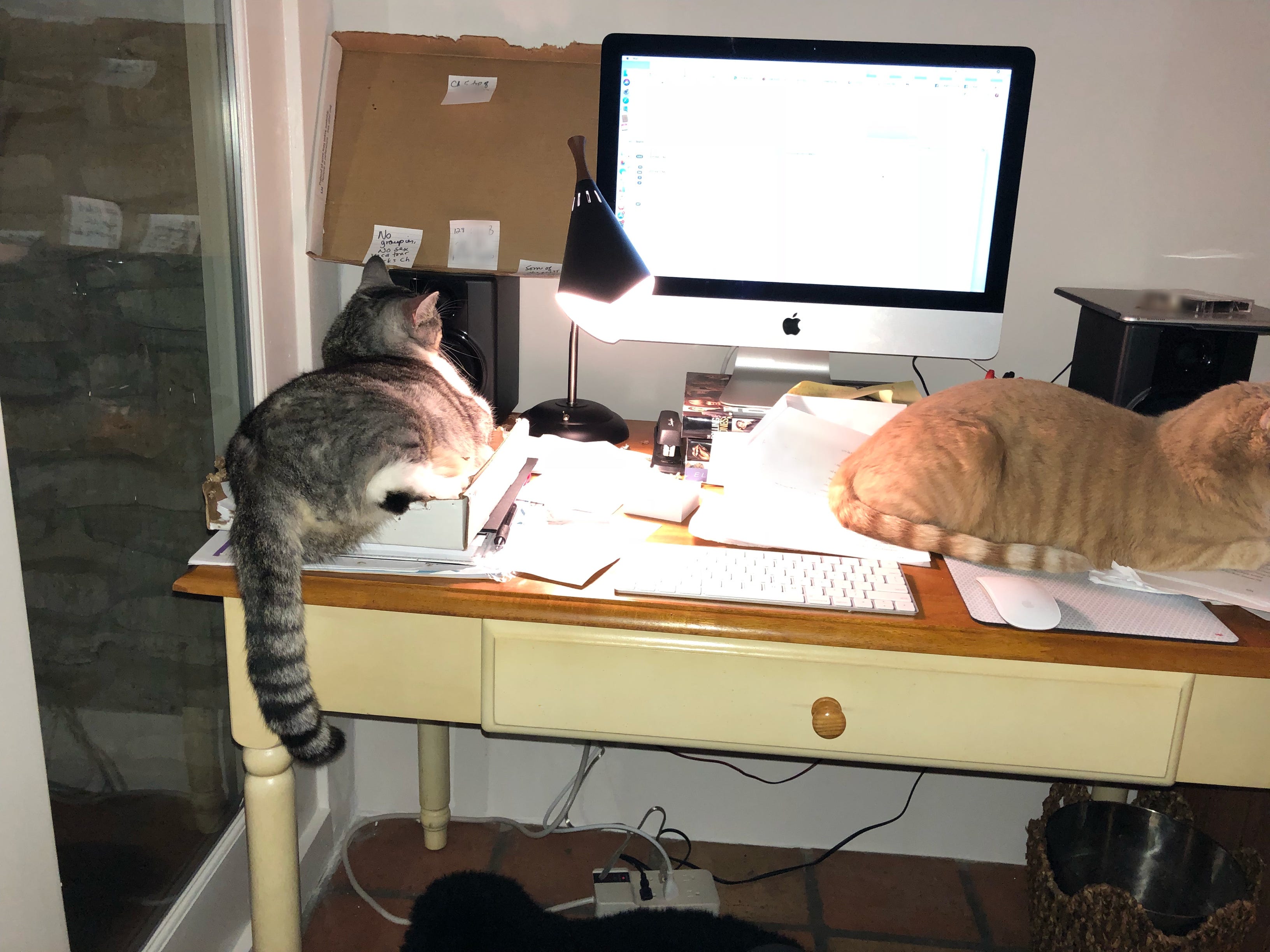 Kathy Valentine | Substack