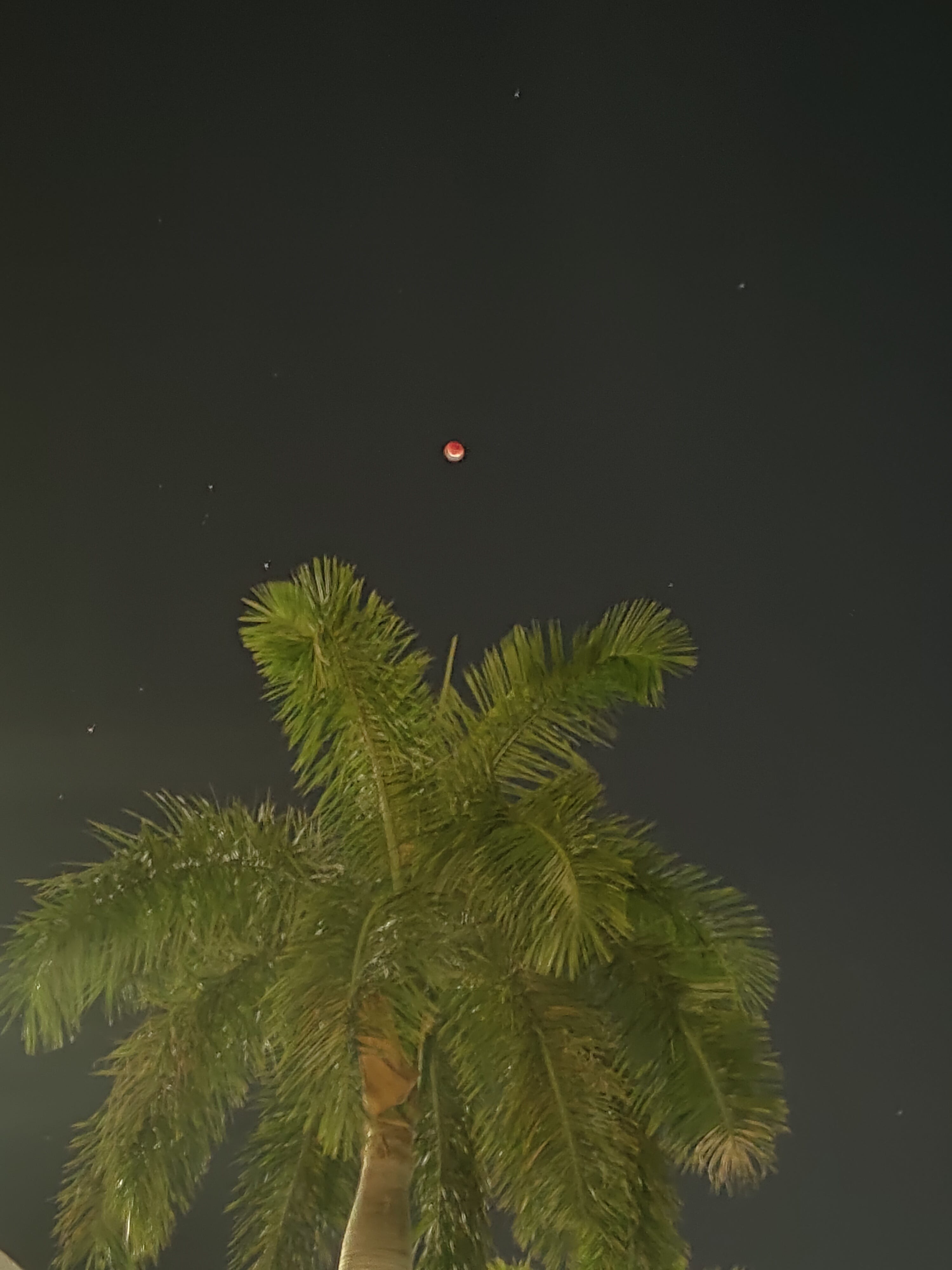 Lunar eclipse total eclipse Israel Joffe