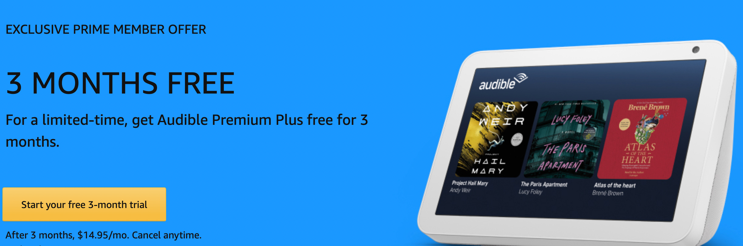 Google home hub audible top