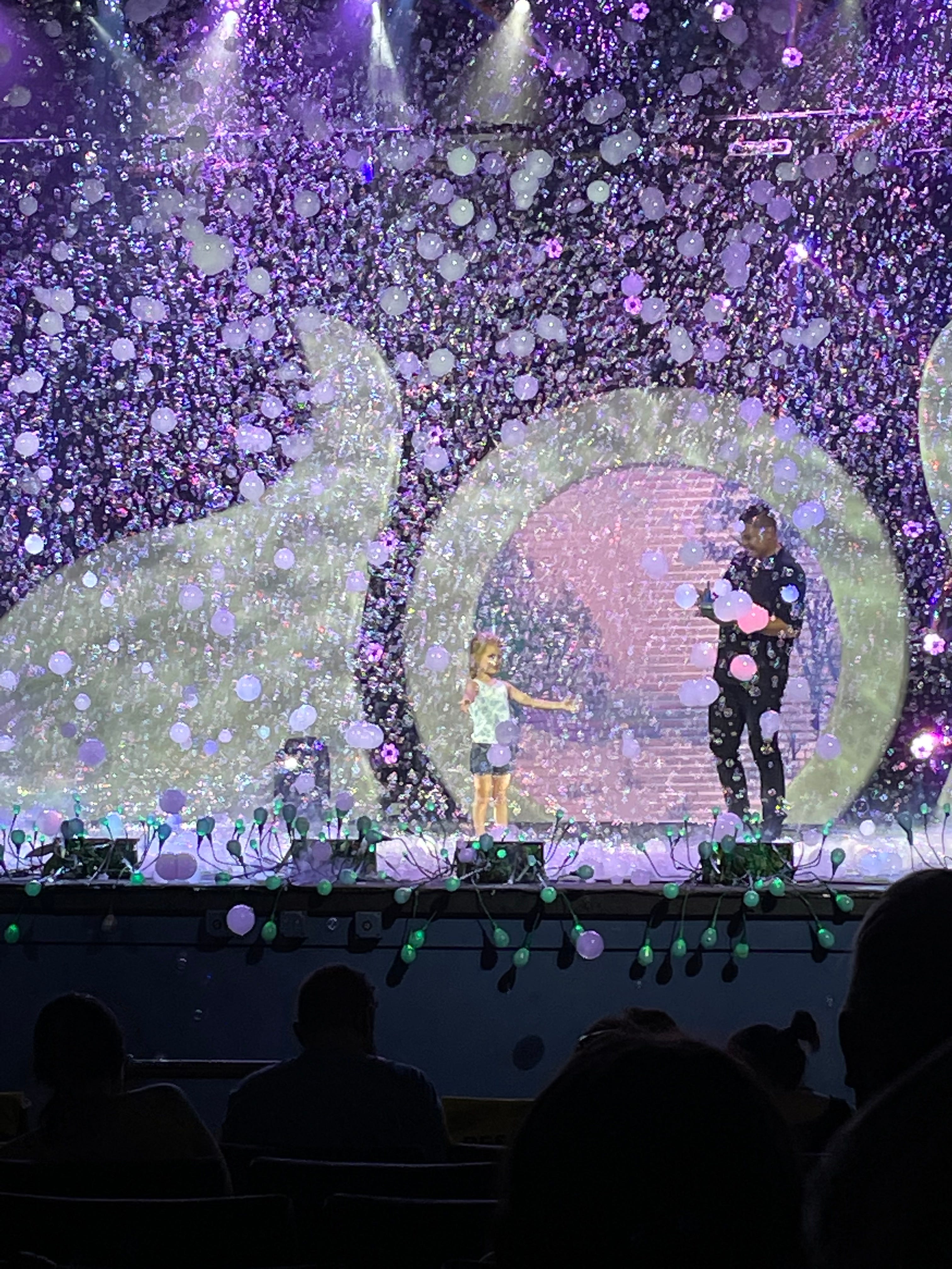 Gazillion Bubble Show at Dollywood by Jim Richardson