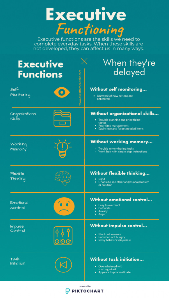 Executive function development by age sales