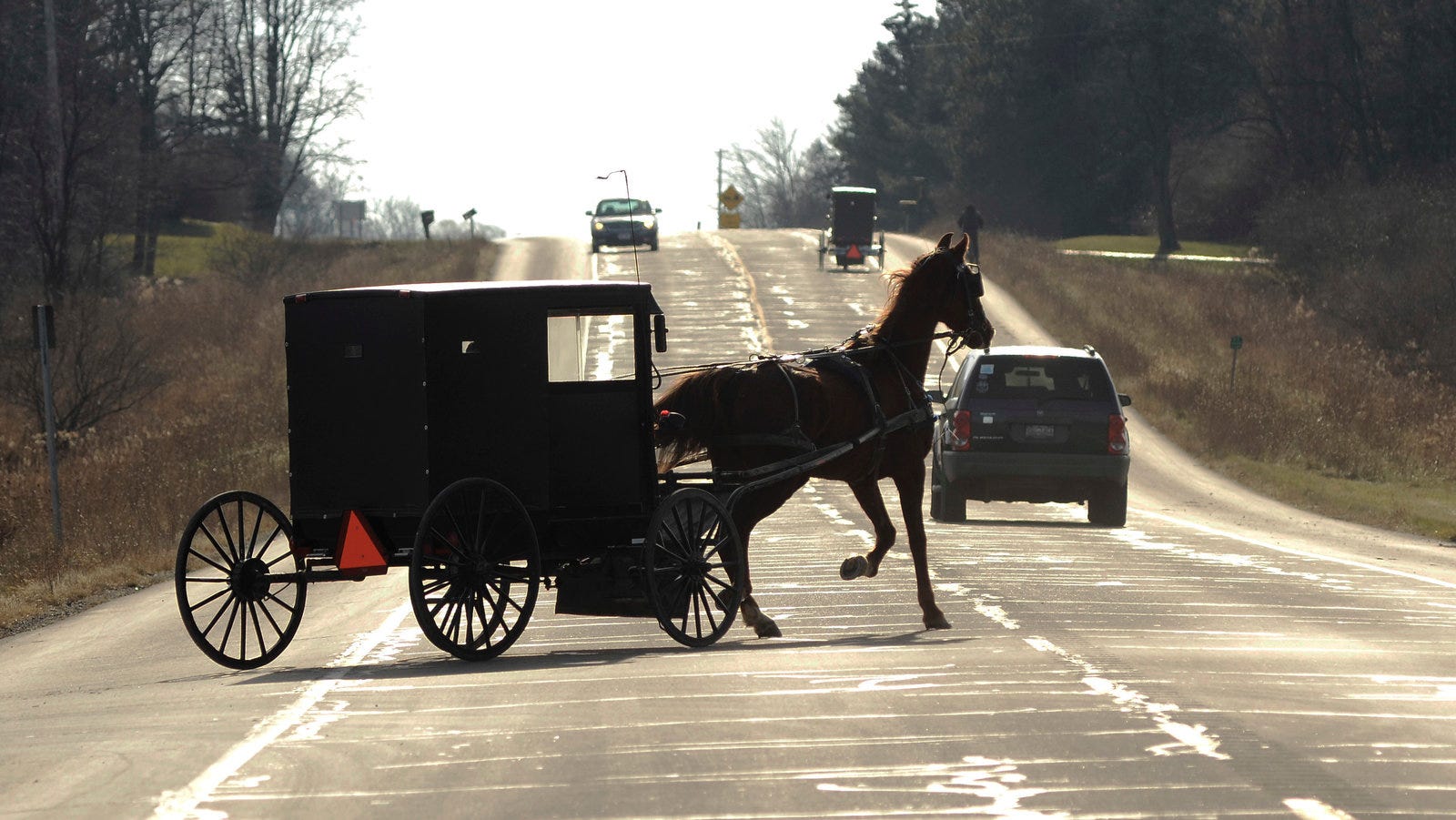 Saw horses deals rural king
