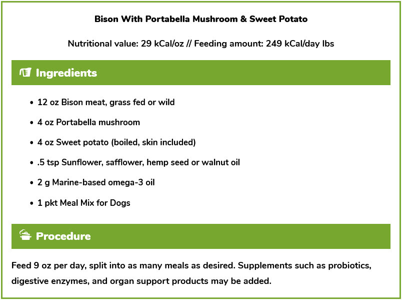 Homemade dog food outlet for ibs