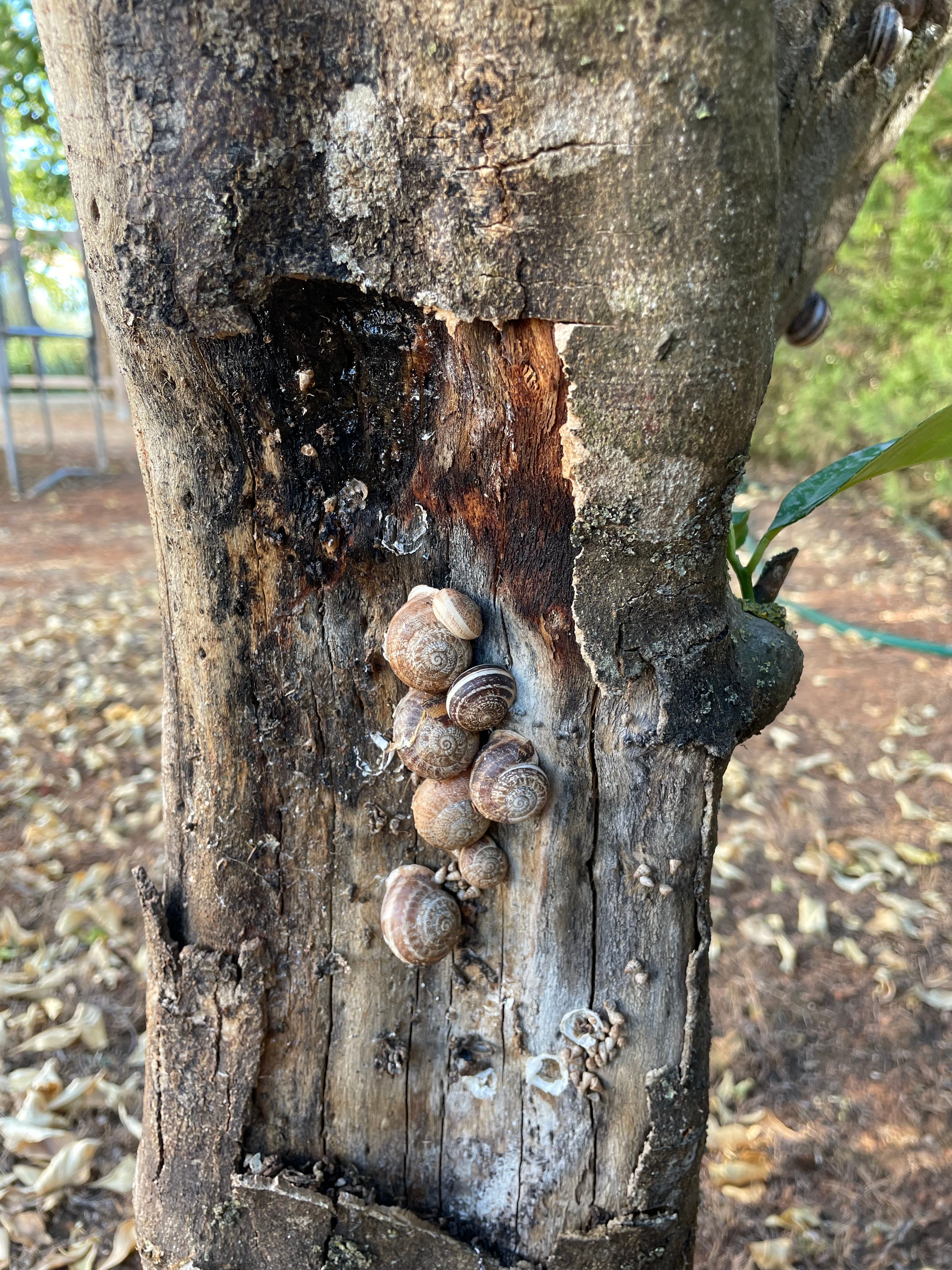 082322 Anchors set down, anchors aweigh