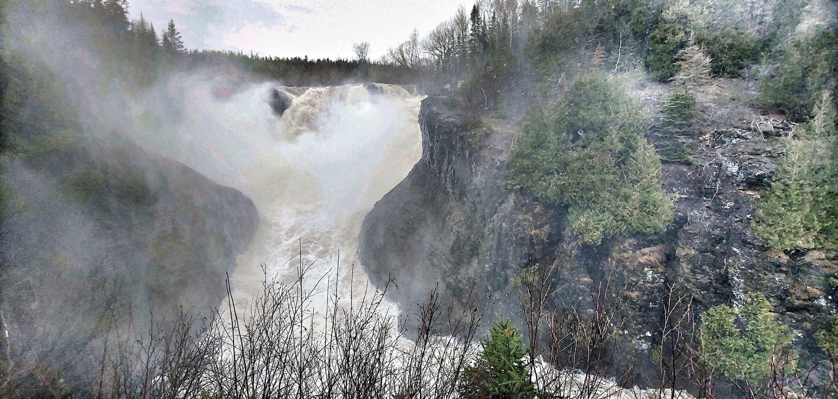 The Flow - by Shaw (Sherri) Morgan - Elemental Wild Wisdom