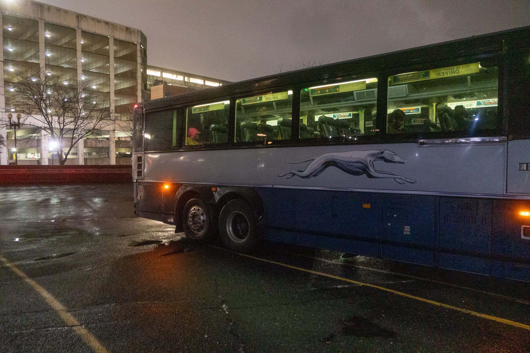 Greyhound bus best sale emotional support animal