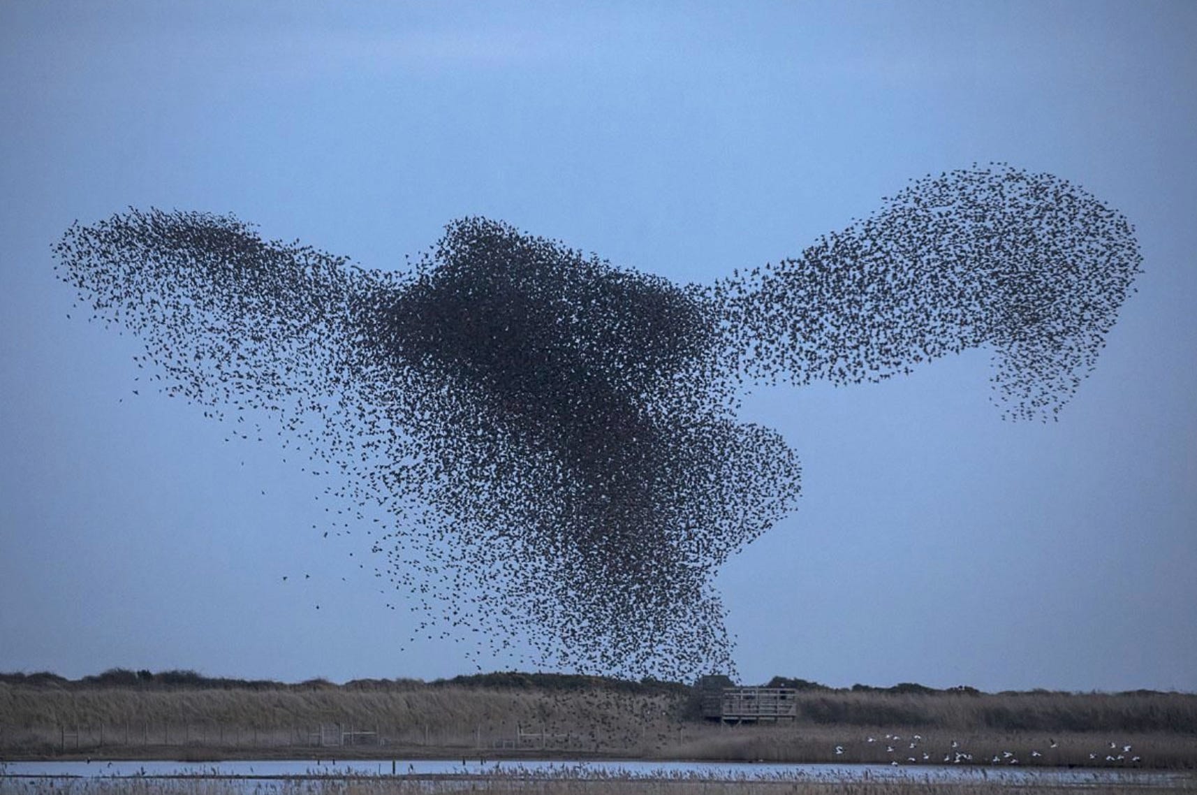 HARMONY, DISCORD, REST AND RETURN - by Mary McDonald-Lewis