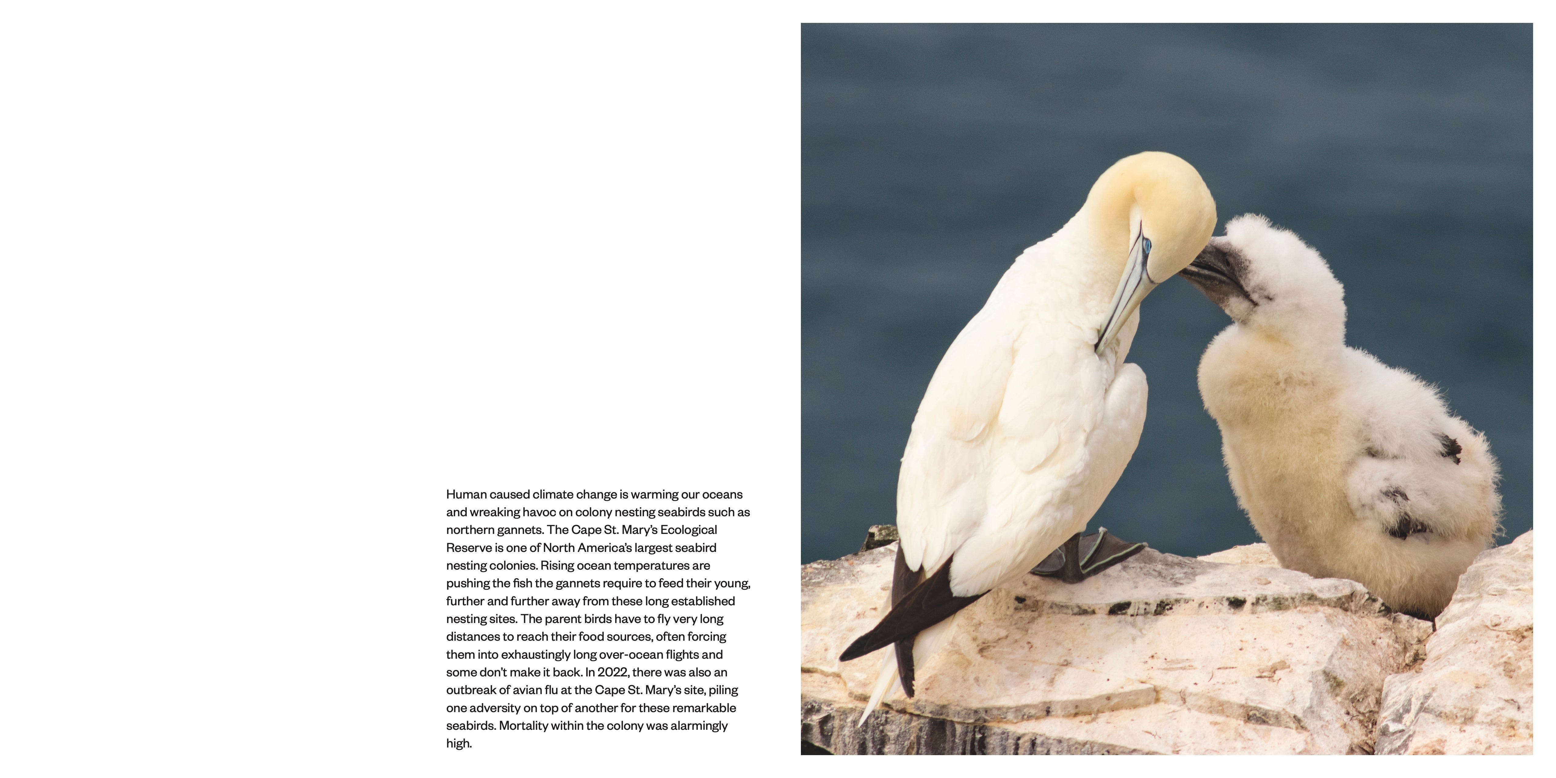 Dispatch Notes 3 By Dispatch Press Dispatch Notes