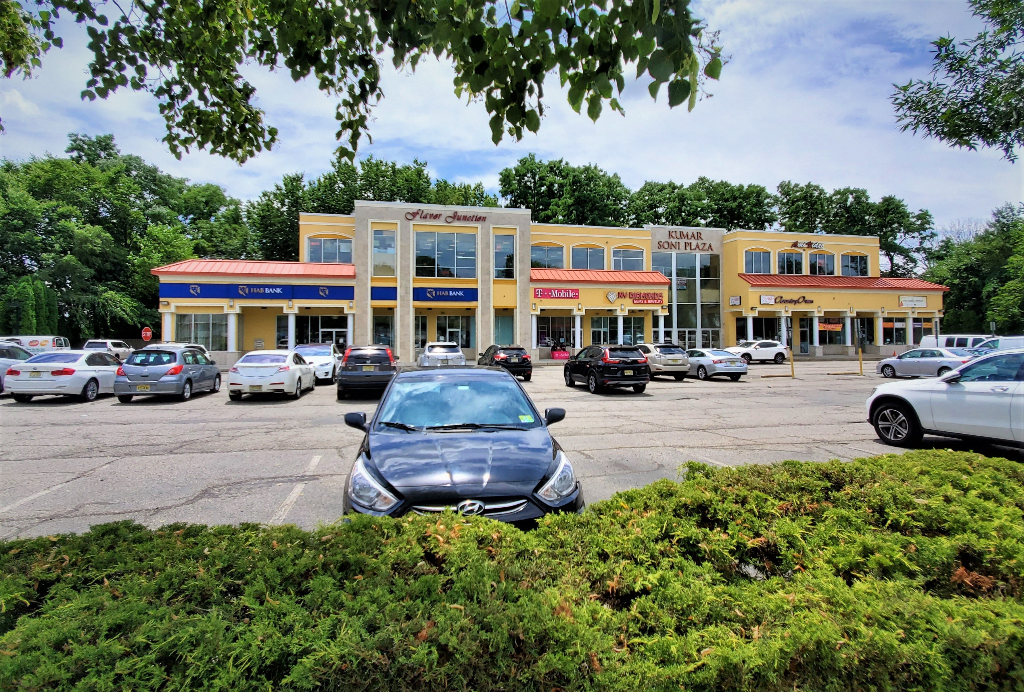 New Jersey's Little India by Addison Del Mastro