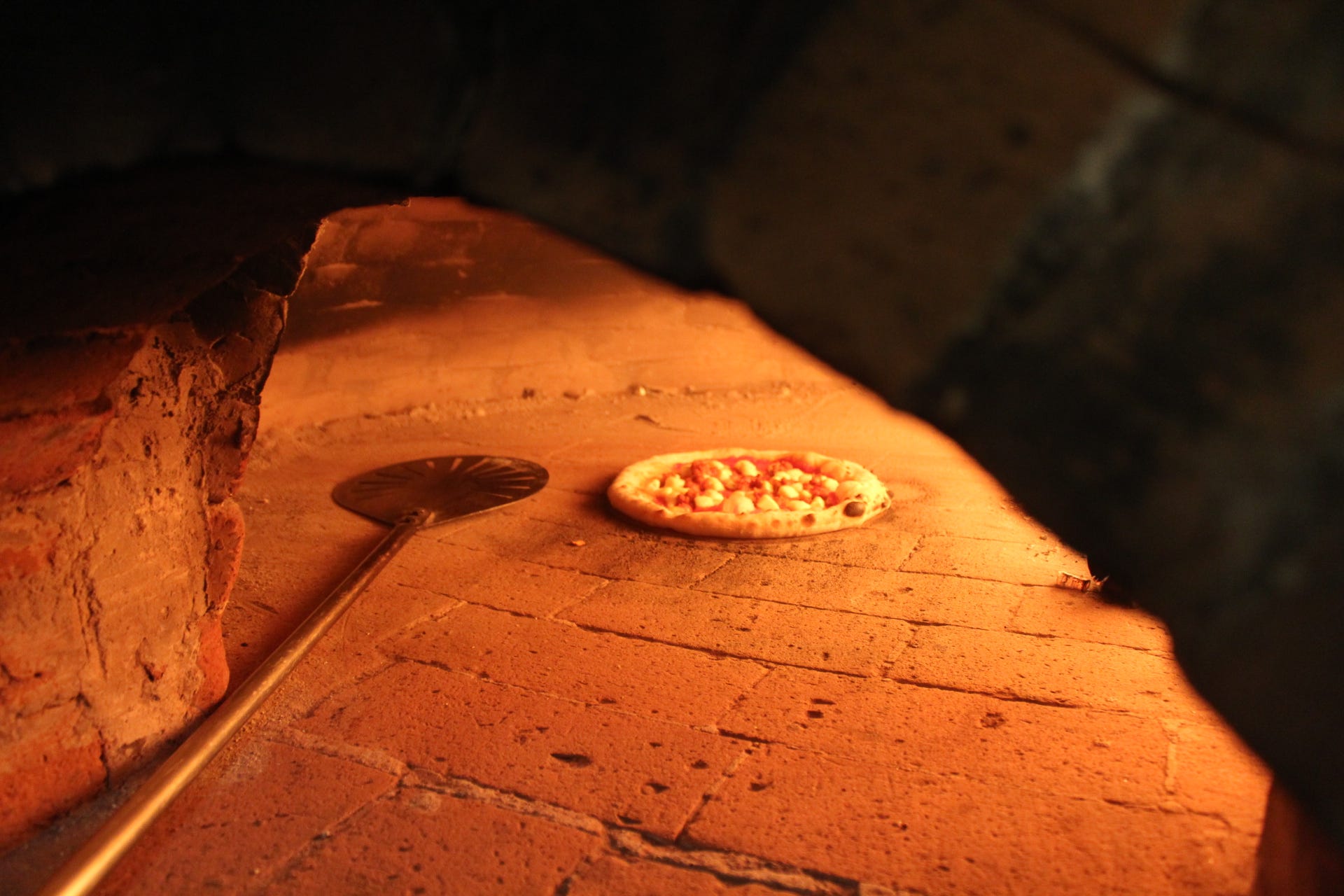 Pizza is survival Vittles