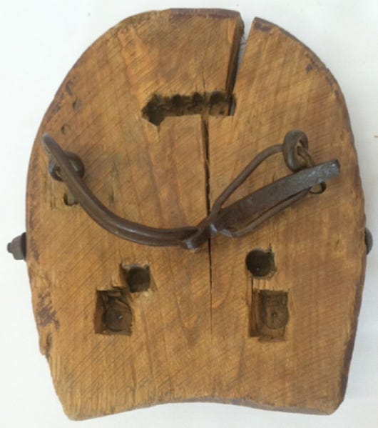 Horse Snowshoes by Helen Hegener Northern Light Media