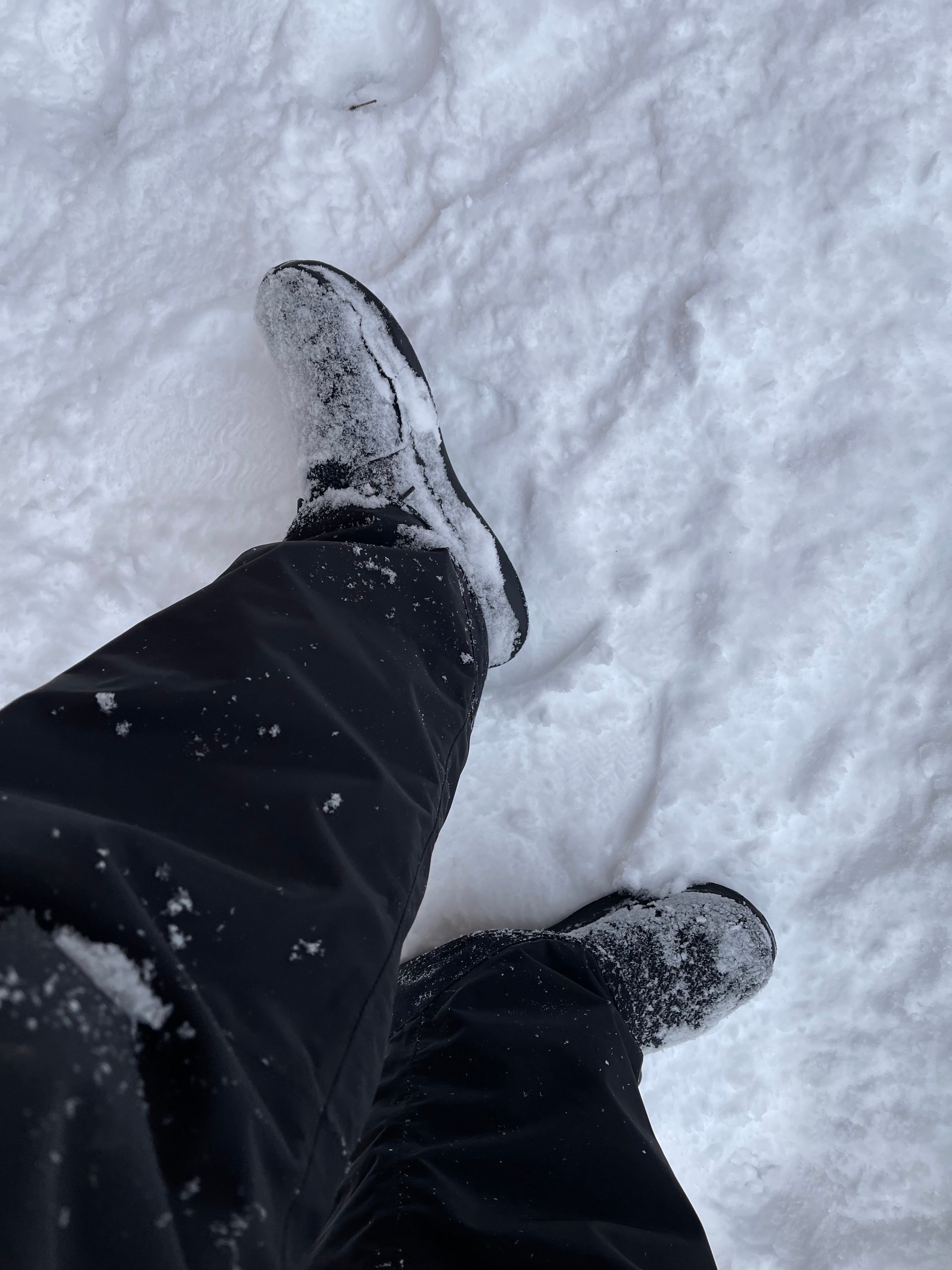 Vessi Footwear A Seattle Dad Review Reprint