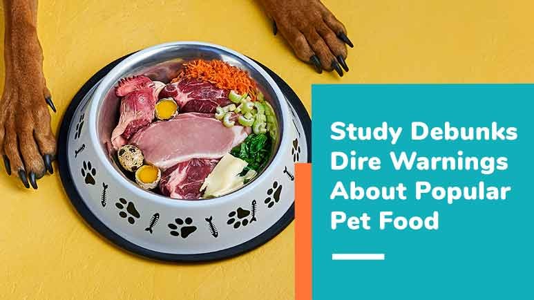 Avma deals raw food