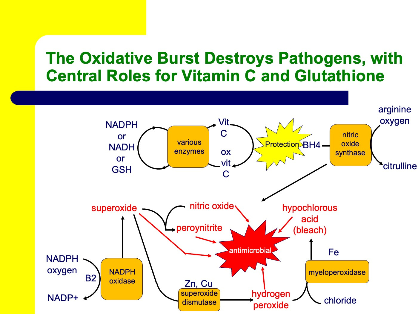 Cancer, IV Drips, and the GlutathioneVitamin C Connection