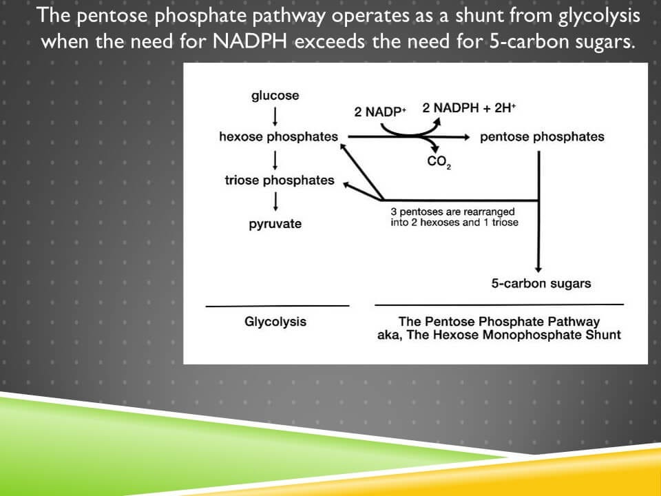 Erythritol and Blood Clotting by Chris Masterjohn, PhD