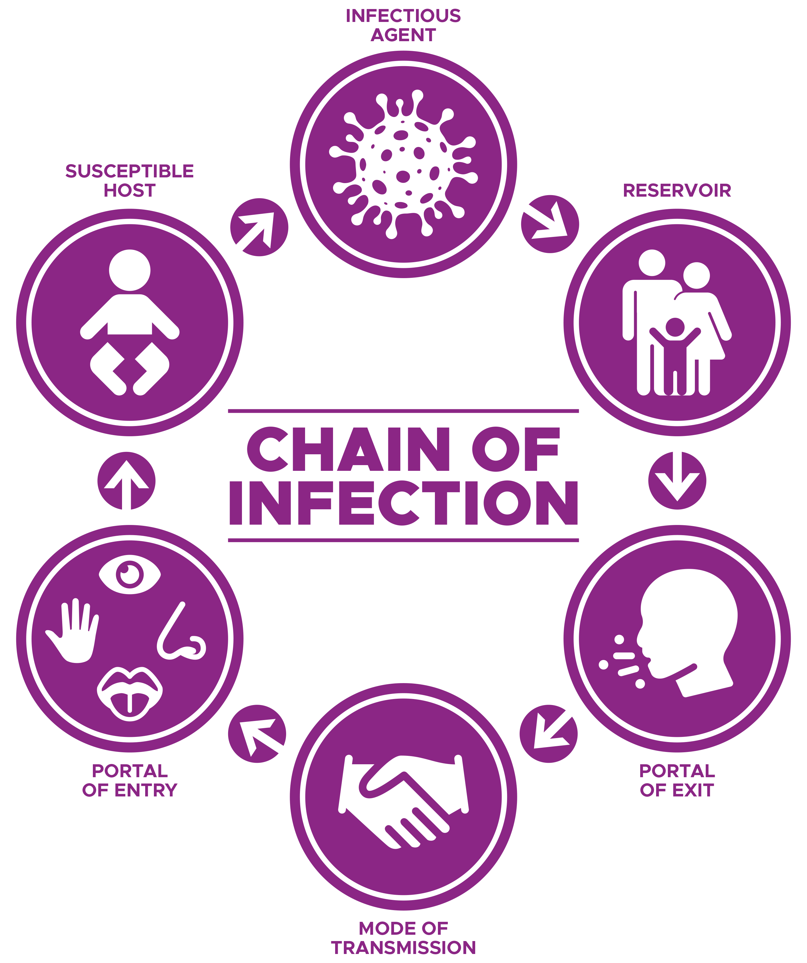 Understanding the Chain of Infection