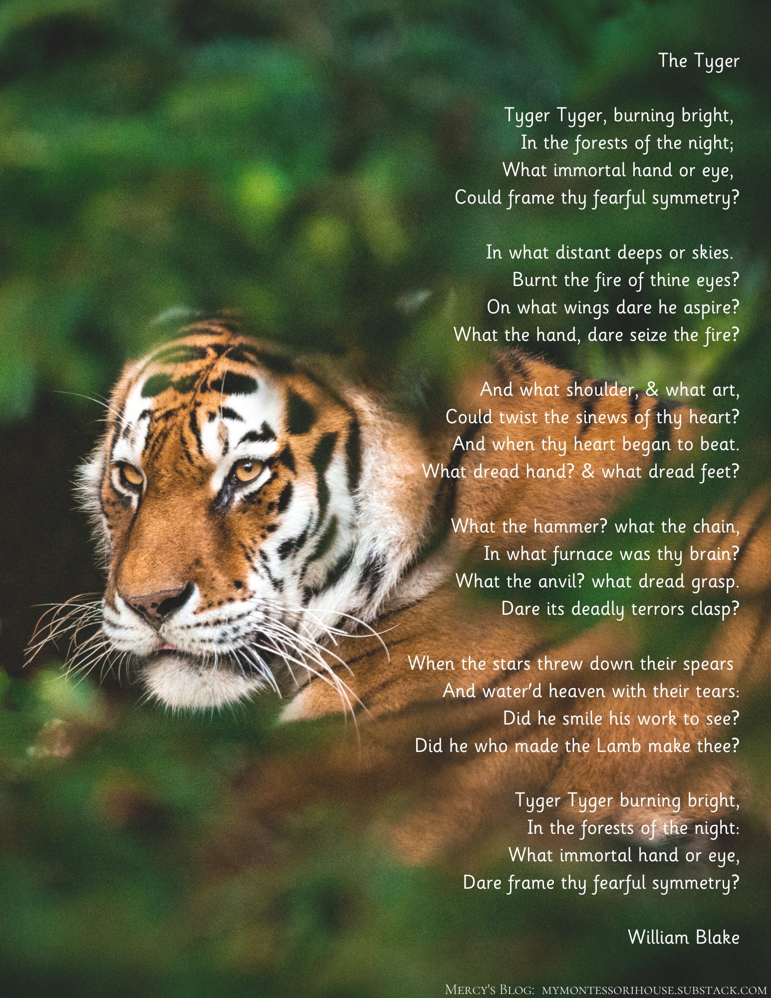 The Tiger Poem, 1794 William Blake, Printable Tyger Poem,