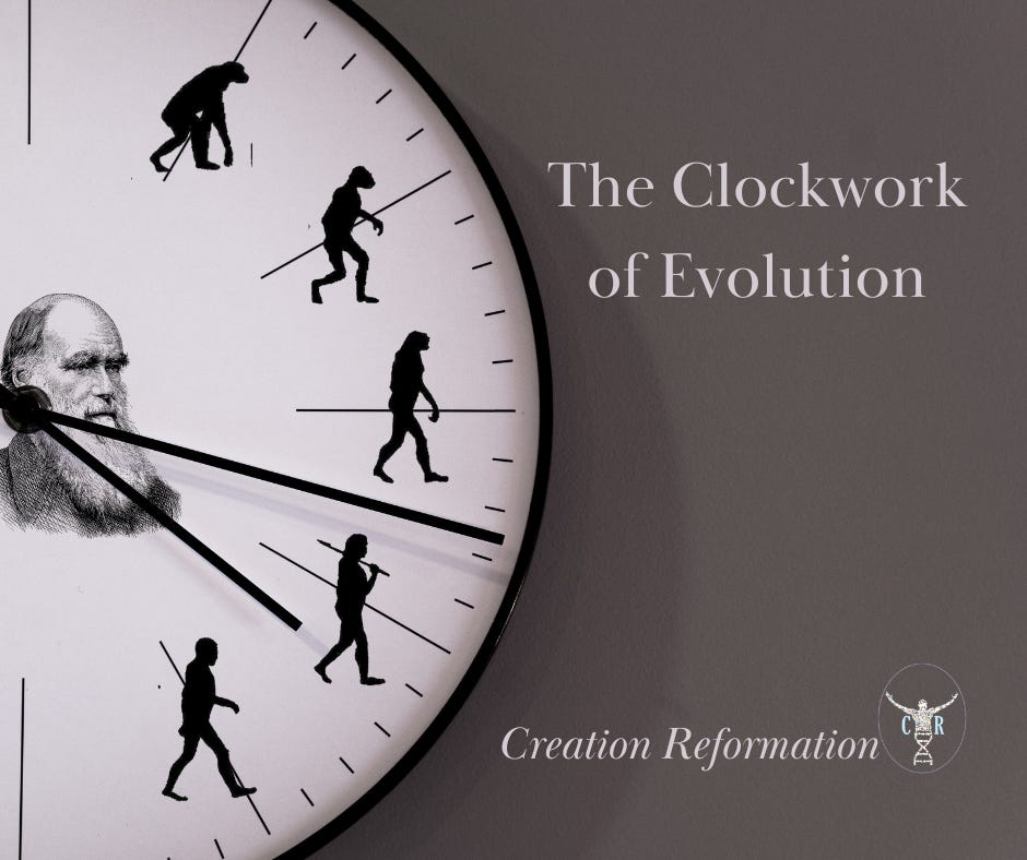 The Clockwork of Evolution Creation Reformation Insider