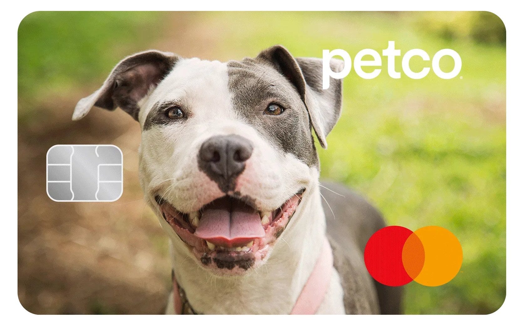 Can you buy a pet with a credit card? Leia aqui What is the safest way