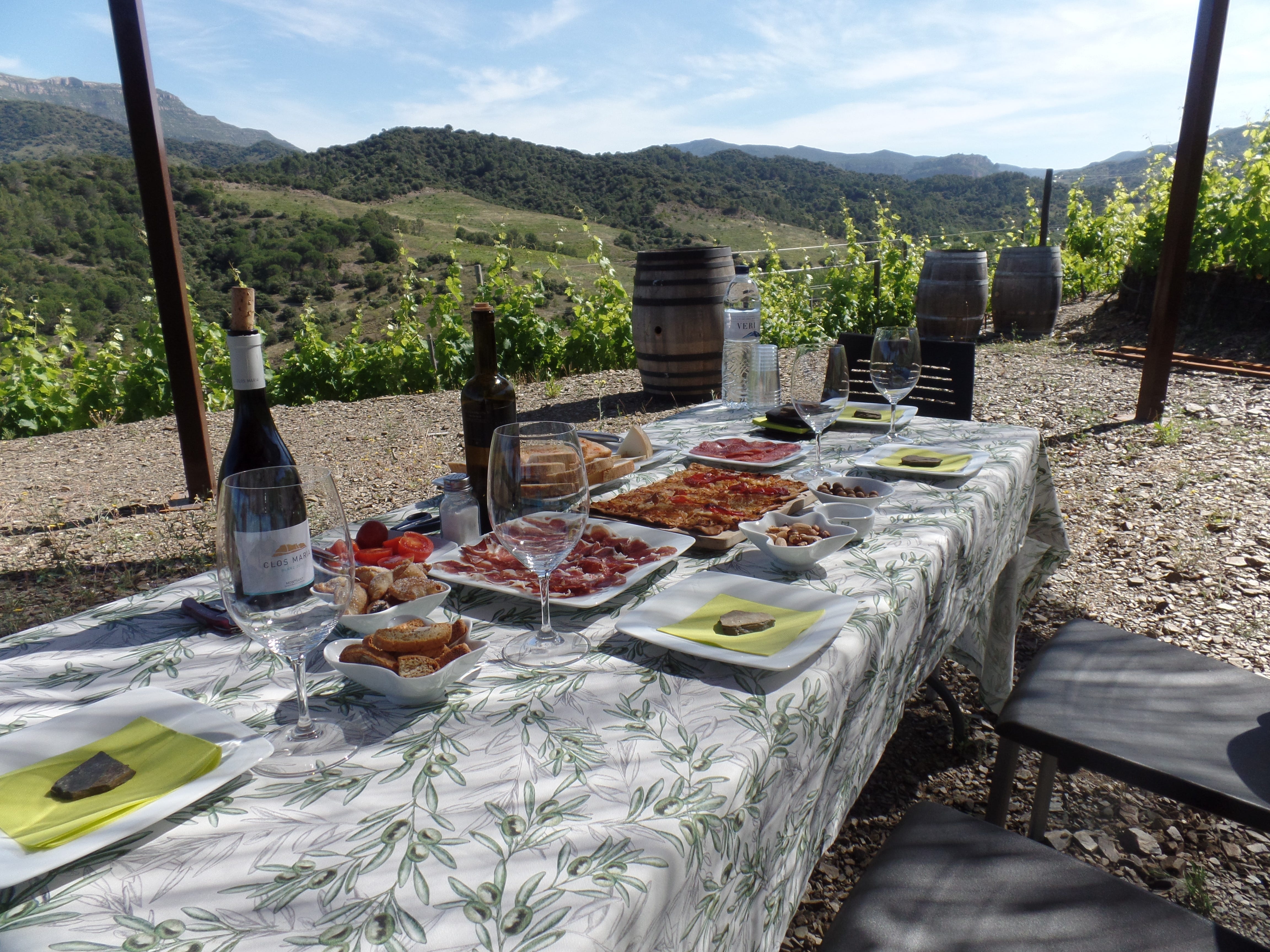 Spain s Priorat Wine Region at the Foot of God s Ladder
