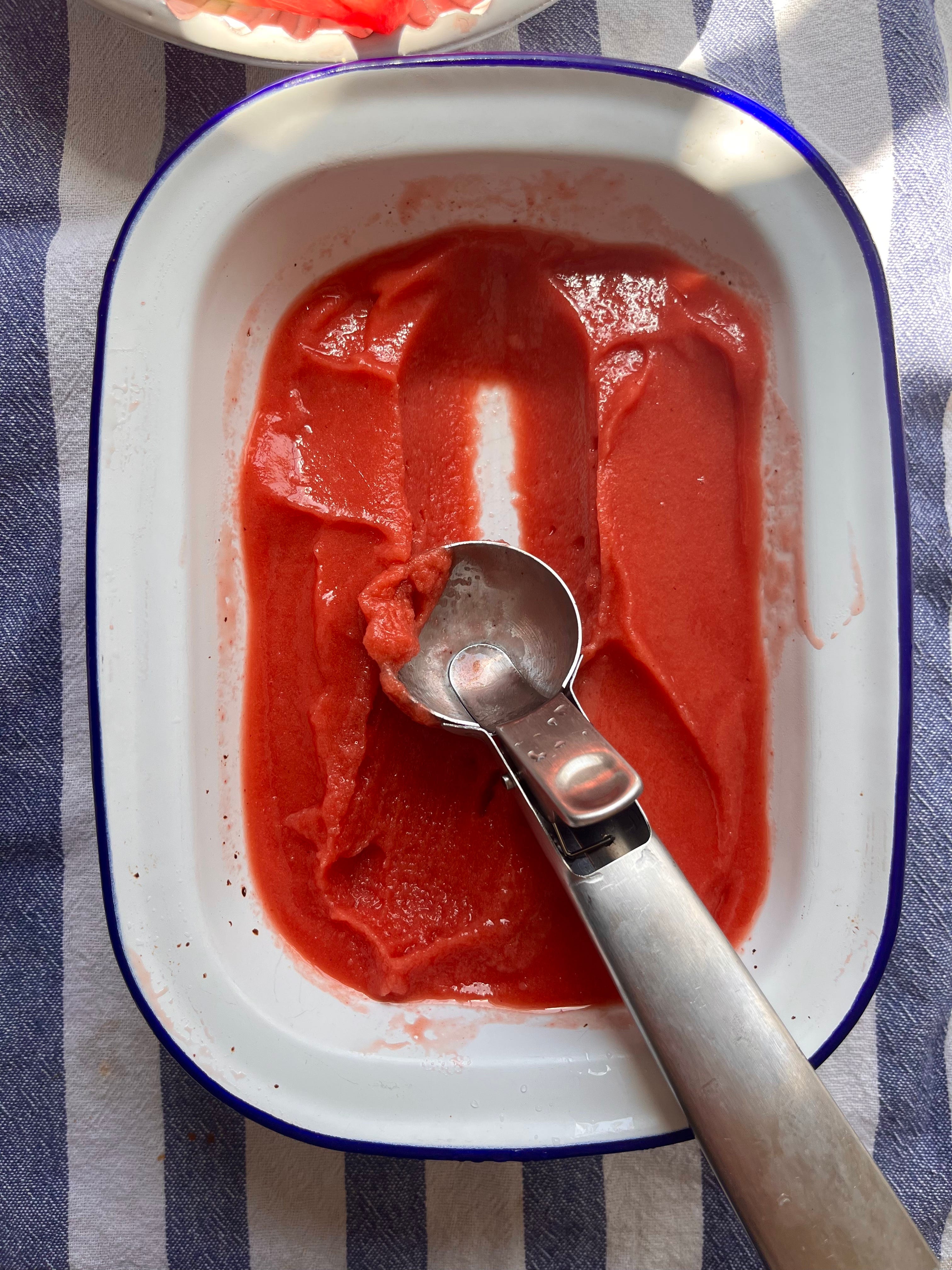 Boiron Sorbet Recipes Besto Blog