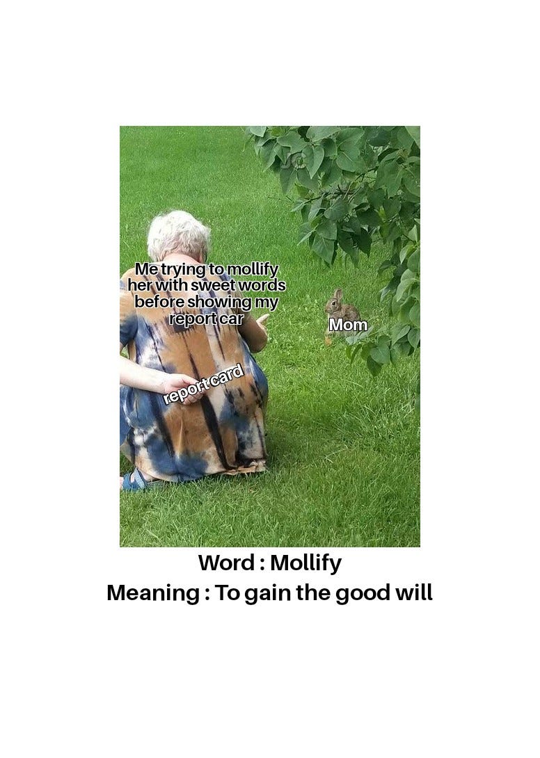 Mollify meaning deals