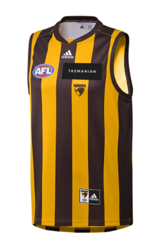 Hawthorn 2025 hawks jersey