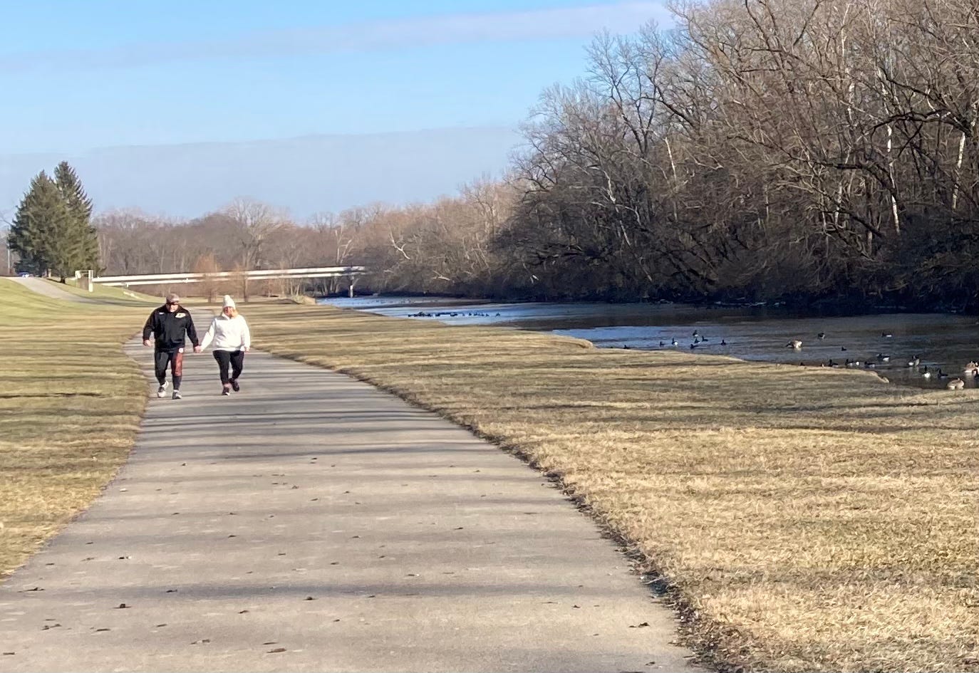 $960K project seeks answers to human-goose conflicts