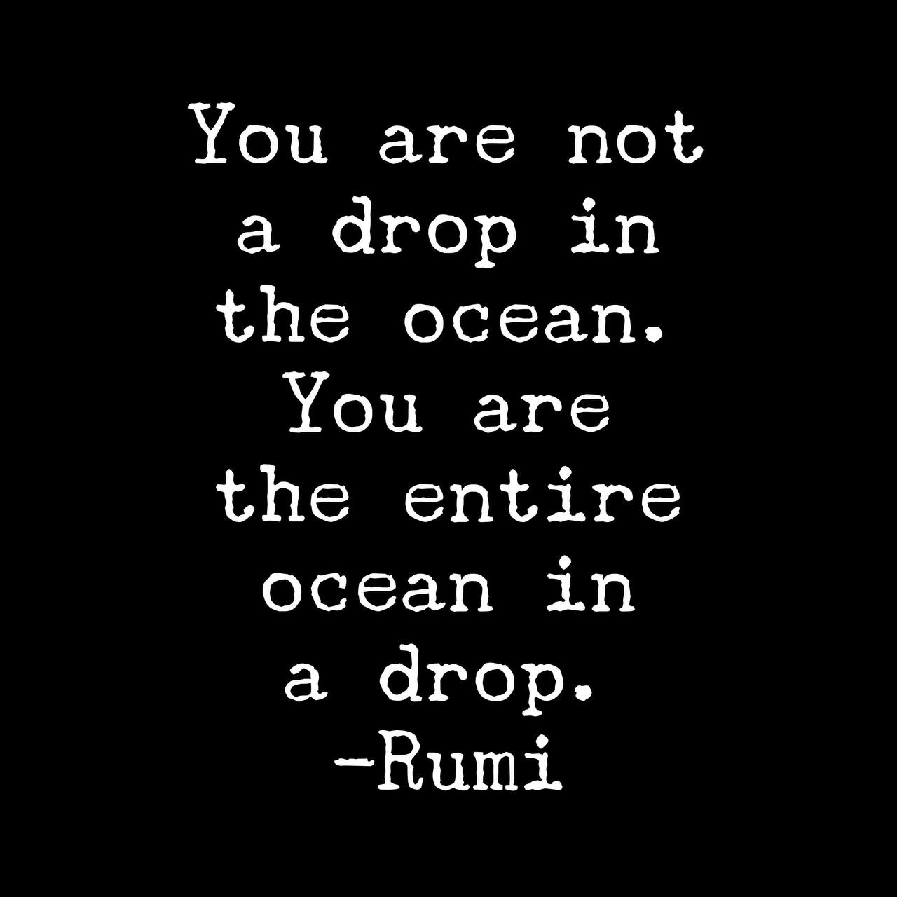 You Are Not A Drop In The Ocean. You Are The Entire Ocean In A Drop.