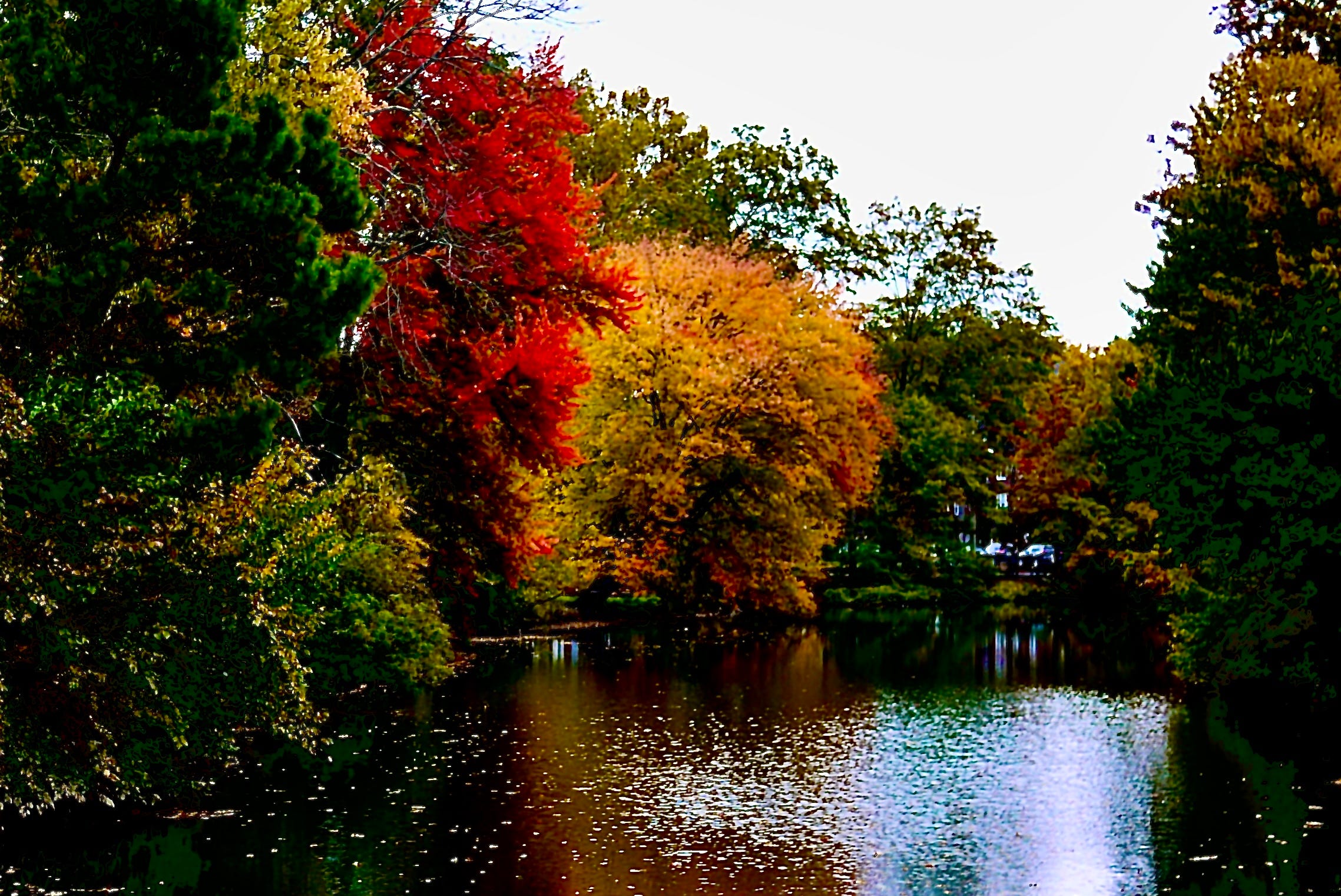 Some Fall Colors In New Jersey by garybaumgarten