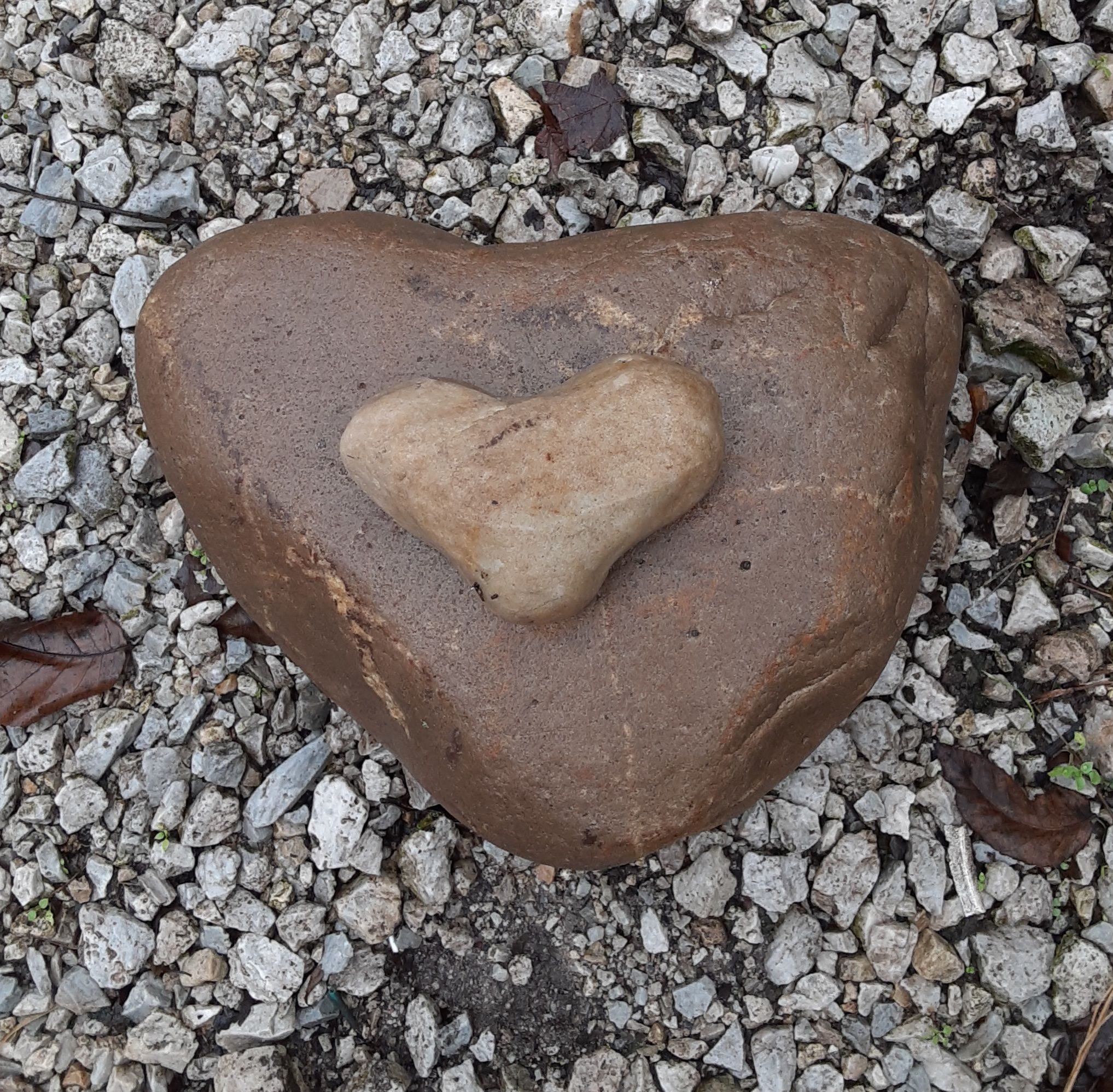 Families dedicate Abby and Libby Memorial Park, a labor of love near Delphi
