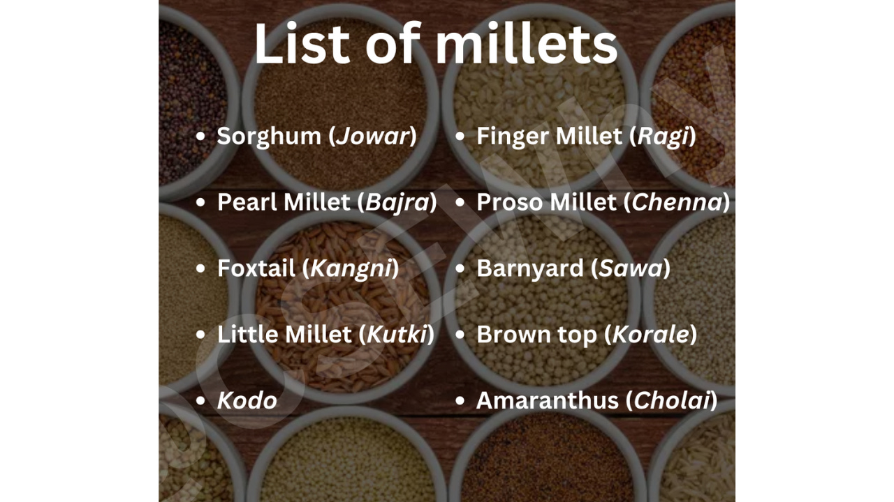 60 Millets Millets Millets, kya hai millets?🤔