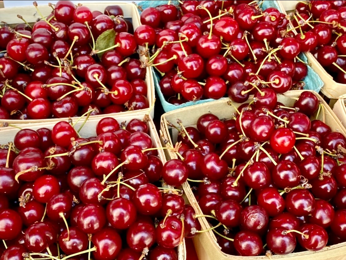 The Brief, Sweet Season of Sour Cherries - by Jolene Handy
