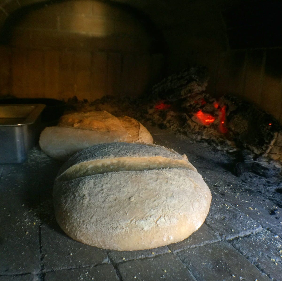 Is bread good for you or bad for you? The answer is Yes.