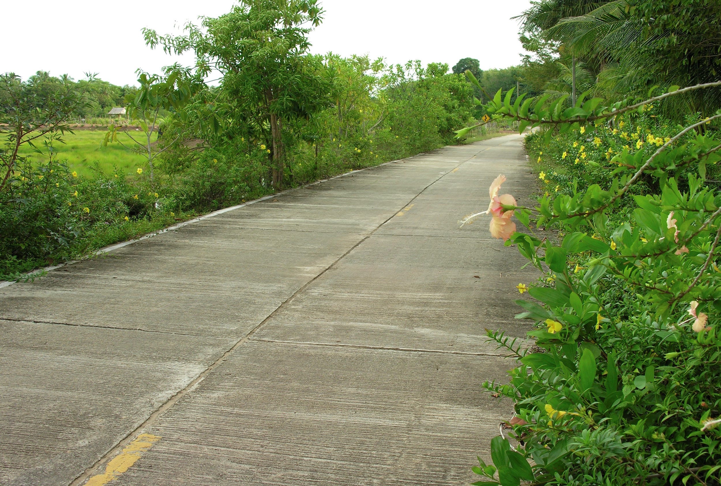 Ko Sukorn A spin through the beaches, farms, viewpoints and villages