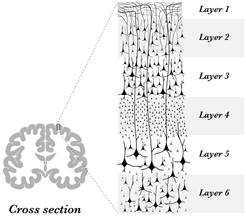 Some Thoughts on Neuralink - by Charles Rosenbauer