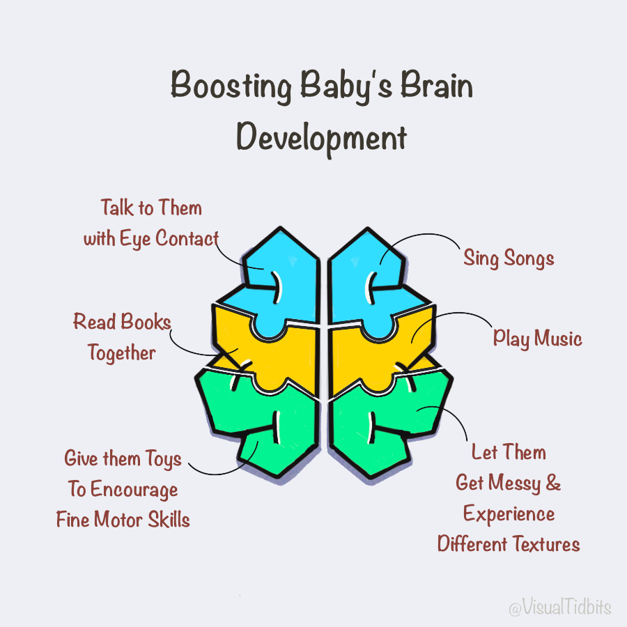 Your Baby s Brain Development By Saba Yazdani your-baby-s-brain-development-by-saba-yazdani