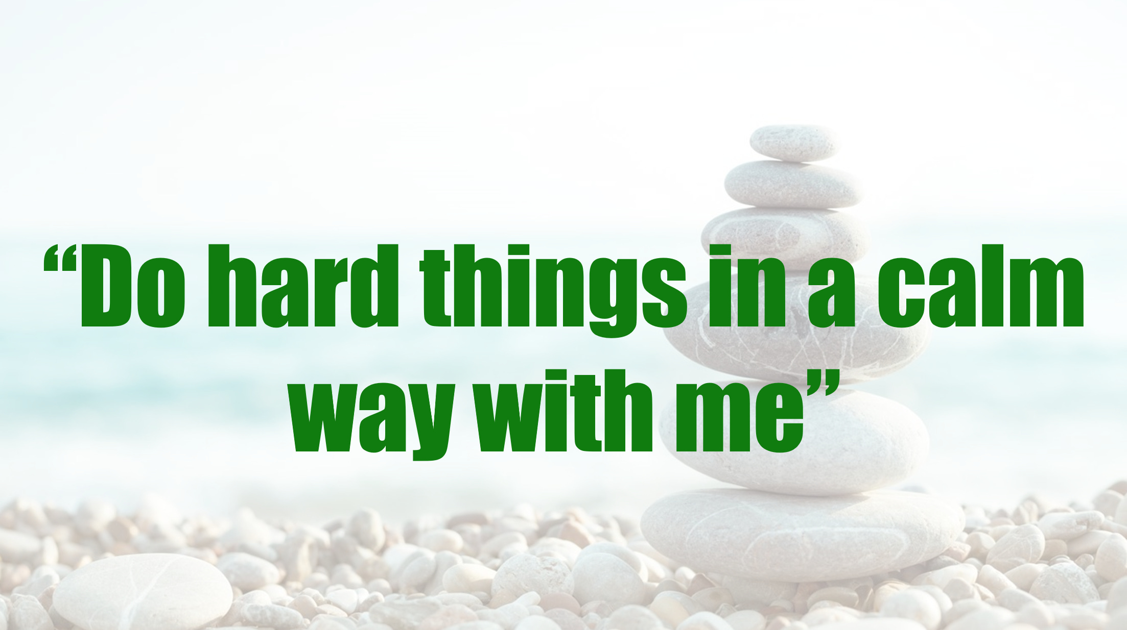 🧘‍♂️ ️ Adam's Field Guide to Happiness The Secret to Amazing Paid Time