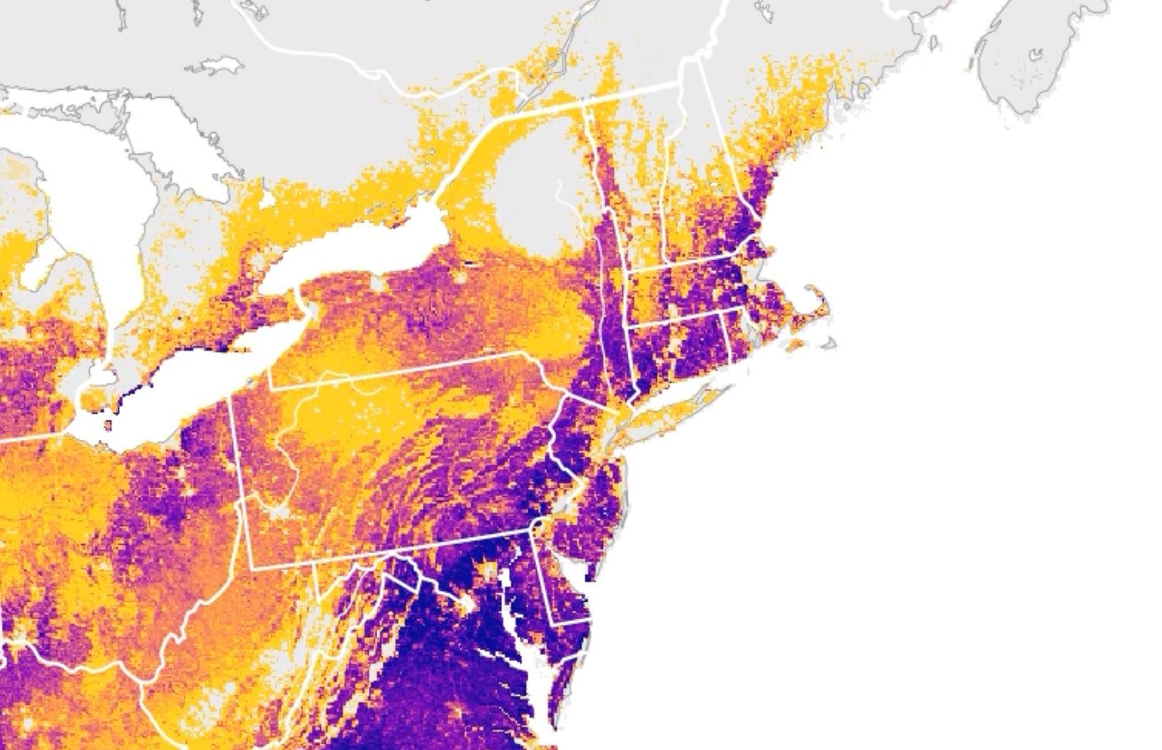 new york's state bird hates nyc - by ryan mandelbirder