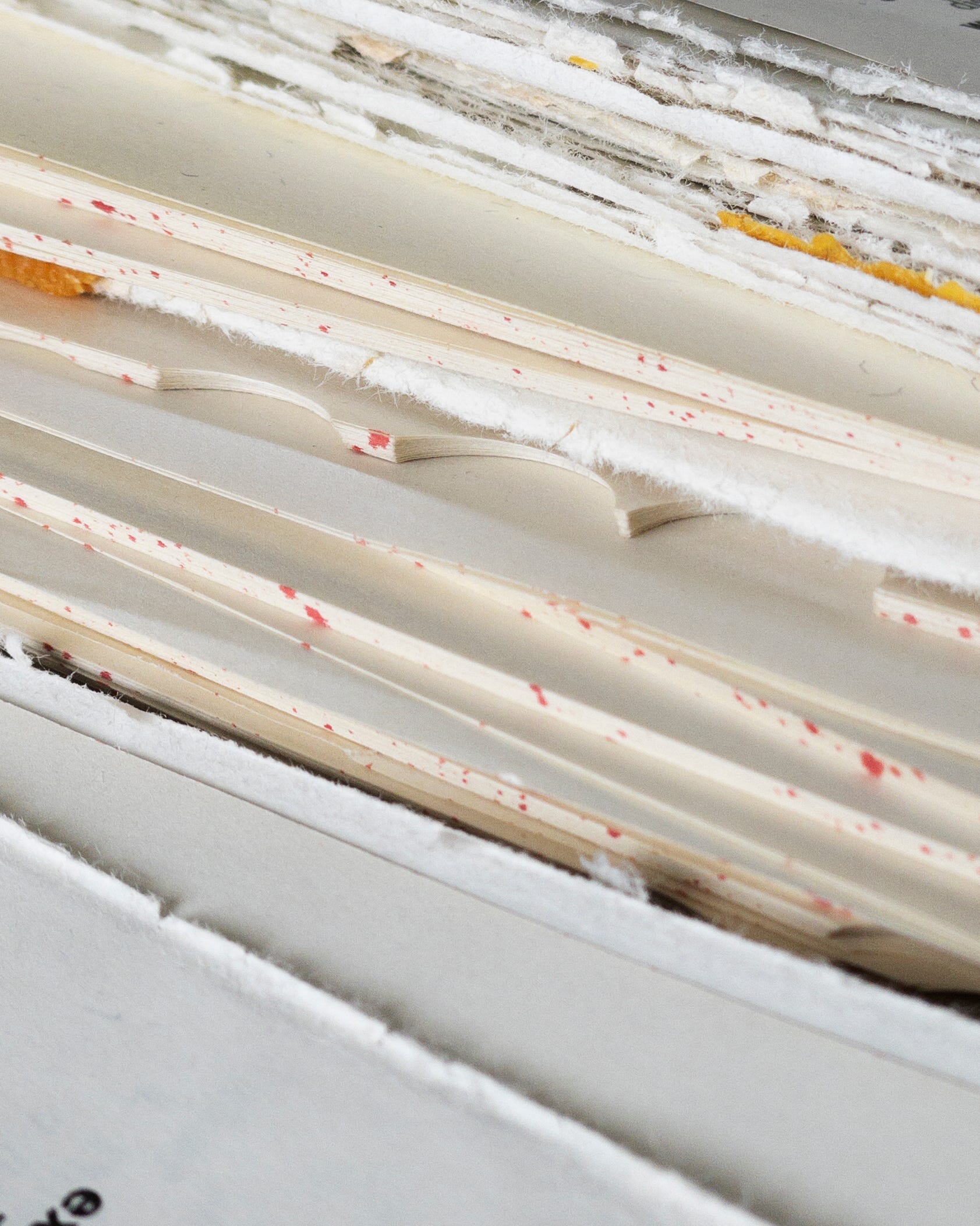 Why Can't I DogEar a Book? by Evan Patrick Maloney